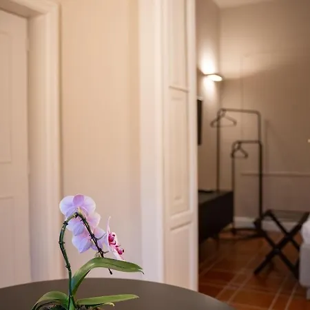 Casa Almika Principe Amedeo Pensjonat Bari