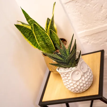 Casa Almika Principe Amedeo 3* Bari