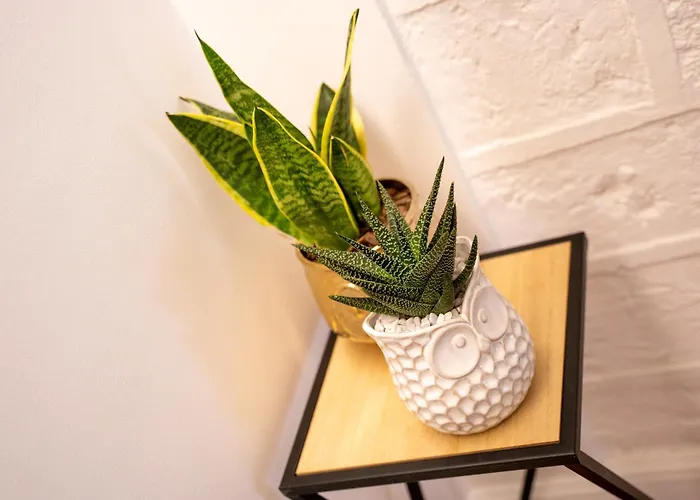 Casa Almika Principe Amedeo 3* Bari